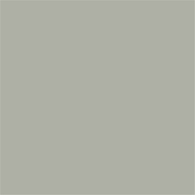 15-6304 TCX Pussywillow Gray