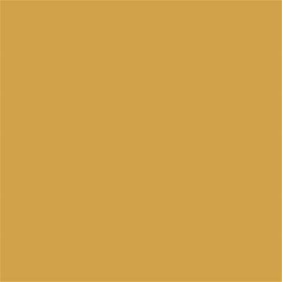 16-0947 TCX Bright Gold