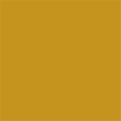 16-0953 TCX Tawny Olive