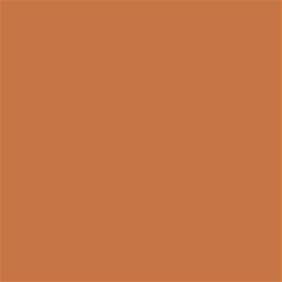 16-1348 TCX Tomato Cream