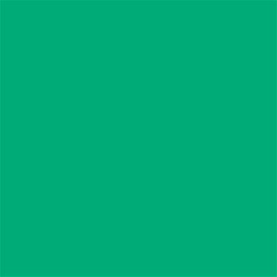 16-5938 TCX Mint