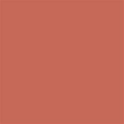 17-1540 TCX Apricot Brandy