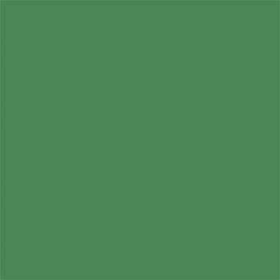 17-6229 TCX Medium Green
