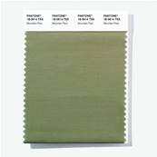 18-0614 TSX Mountain Pass - Polyester Swatch Card