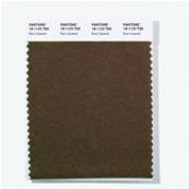 18-1123 TSX Rum Caramel - Polyester Swatch Card