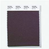 19-0204 TSX Black Lava - Polyester Swatch Card