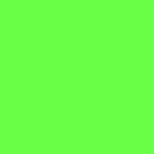 13-0340 TN Green Gecko