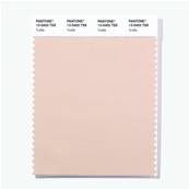 13-0402 TSX Tortilla - Polyester Swatch Card