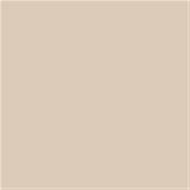 13-1308 TCX Brazilian Sand