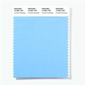 14-3921 TSX Lacecap Hydrangea - Polyester Swatch Card