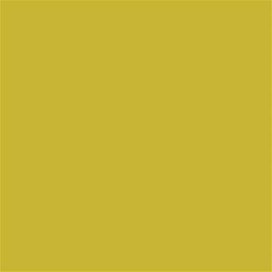 15-0646 TCX Warm Olive