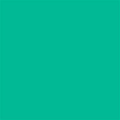 15-5728 TCX Mint Leaf