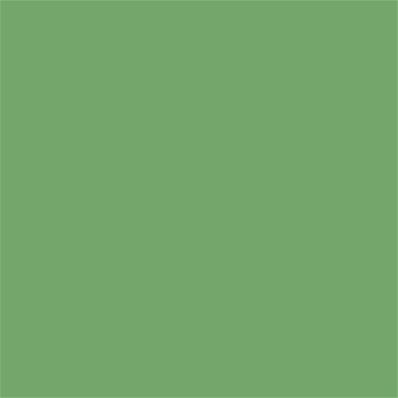 15-6432 TCX Shamrock