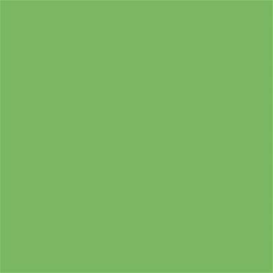 15-6442 TCX Bud Green