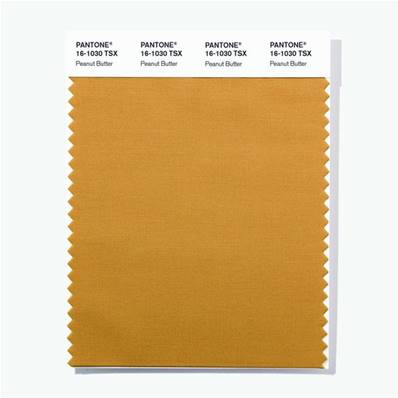 16-1030 TSX Peanut Butter - Polyester Swatch Card