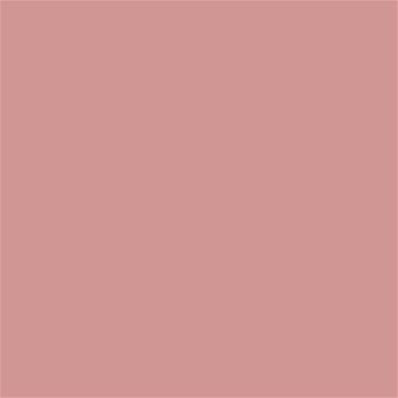 16-1511 TCX Rose Tan