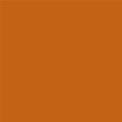 17-1145 TCX Autumn Maple