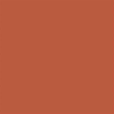17-1345 TCX Spice Route