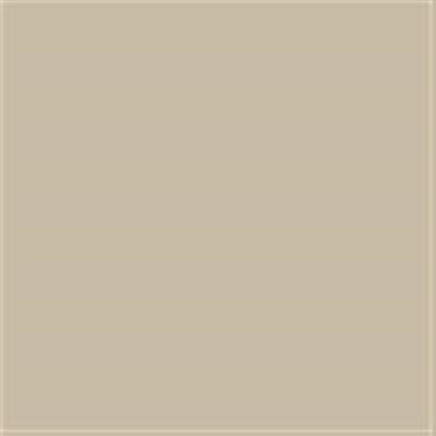 13-1105 TCX Brown Rice