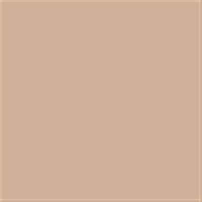 14-1315 TCX Hazelnut
