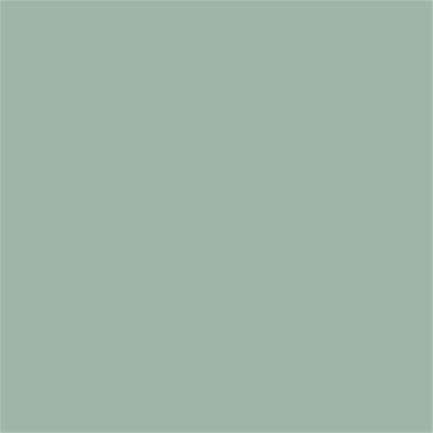 15-5706 TCX Frosty Green