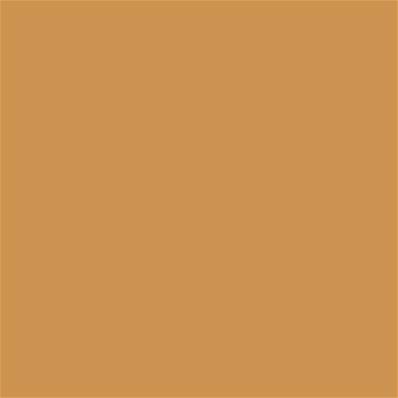 16-1143 TCX Honey Yellow