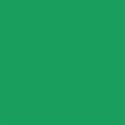 16-6138 TCX Kelly Green