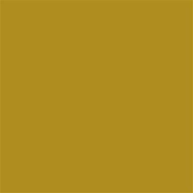 17-0839 TCX Golden Palm