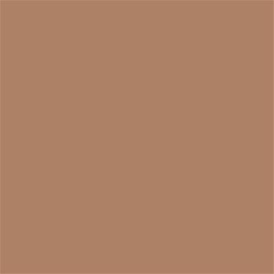 17-1224 TCX Camel