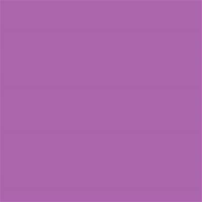 17-3323 TCX Iris Orchid