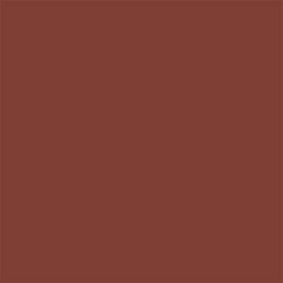 19-1541 TCX Roasted Russet