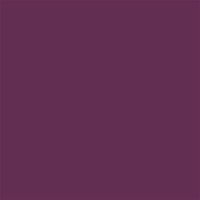 19-2524 TCX Dark Purple