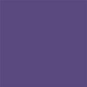 19-3730 TCX Gentian Violet