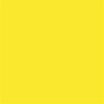 12-0643 TCX Blazing Yellow