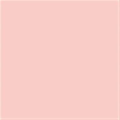13-1511 TCX Pink Salt