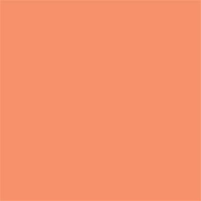 15-1340 TCX Cadmium Orange