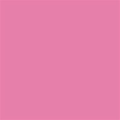 15-2217 TCX Aurora Pink