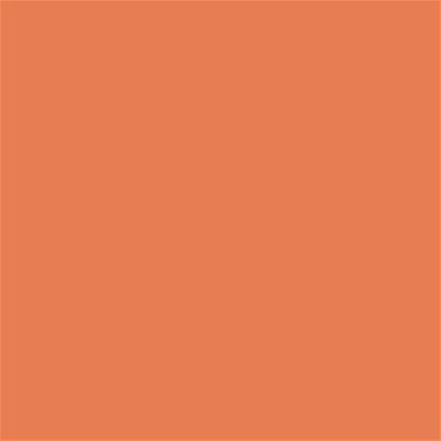 16-1344 TCX Dusty Orange