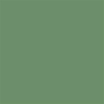 17-0119 TCX Turf Green