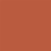 17-1345 TCX Spice Route