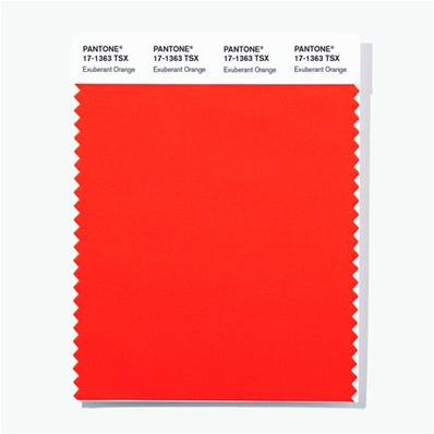 17-1363 TSX Exuberant Orange - Polyester Swatch Card