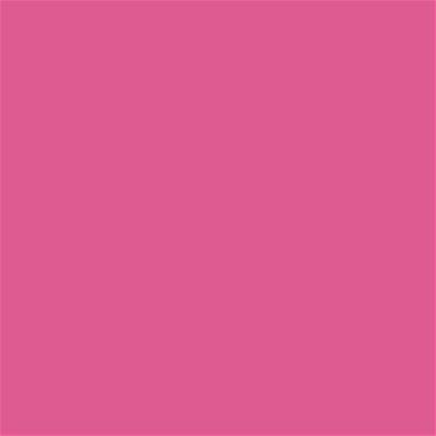 17-2230 TCX Carmine Rose