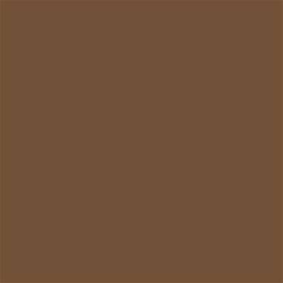 18-1031 TCX Toffee