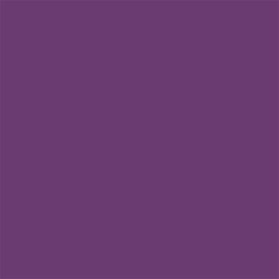 19-3540 TCX Purple Magic
