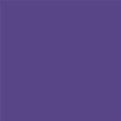 19-3748 TCX Prism Violet