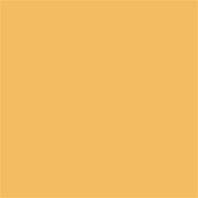 13-0939 TCX Golden Cream