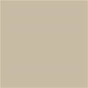 13-1105 TCX Brown Rice