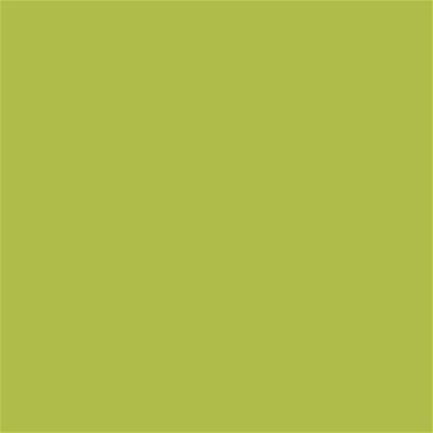 14-0445 TCX Bright Chartreuse