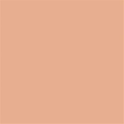 14-1220 TCX Peach Nougat
