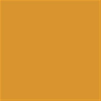 15-1051 TCX Golden Orange